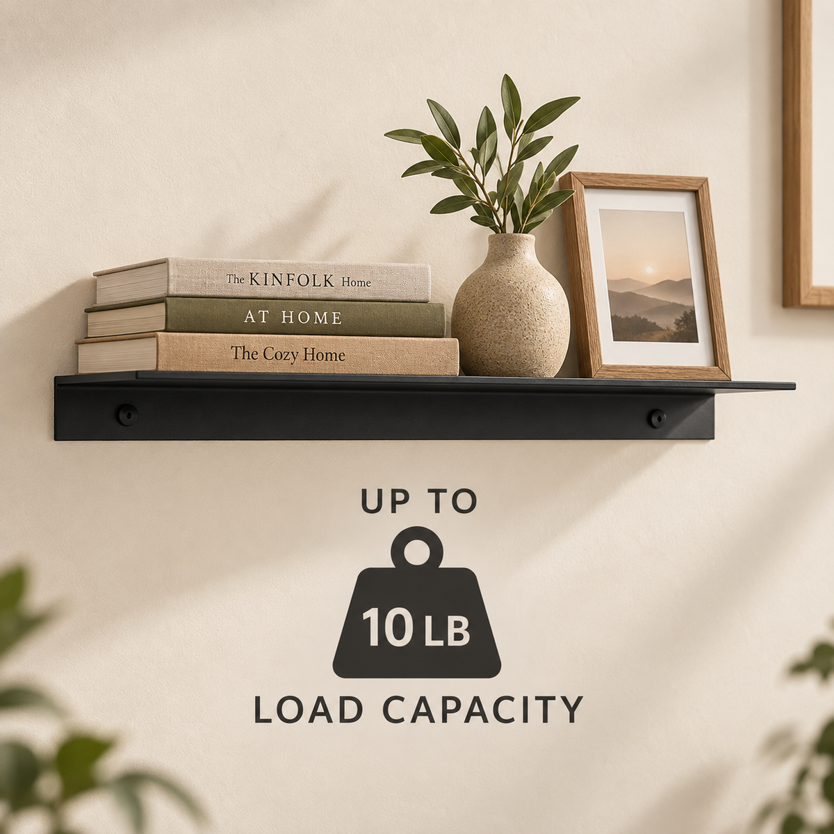 Slim Aluminum Wall Shelf