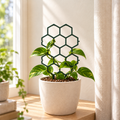 Honeycomb Plant Trellis, Set of 4 — hero