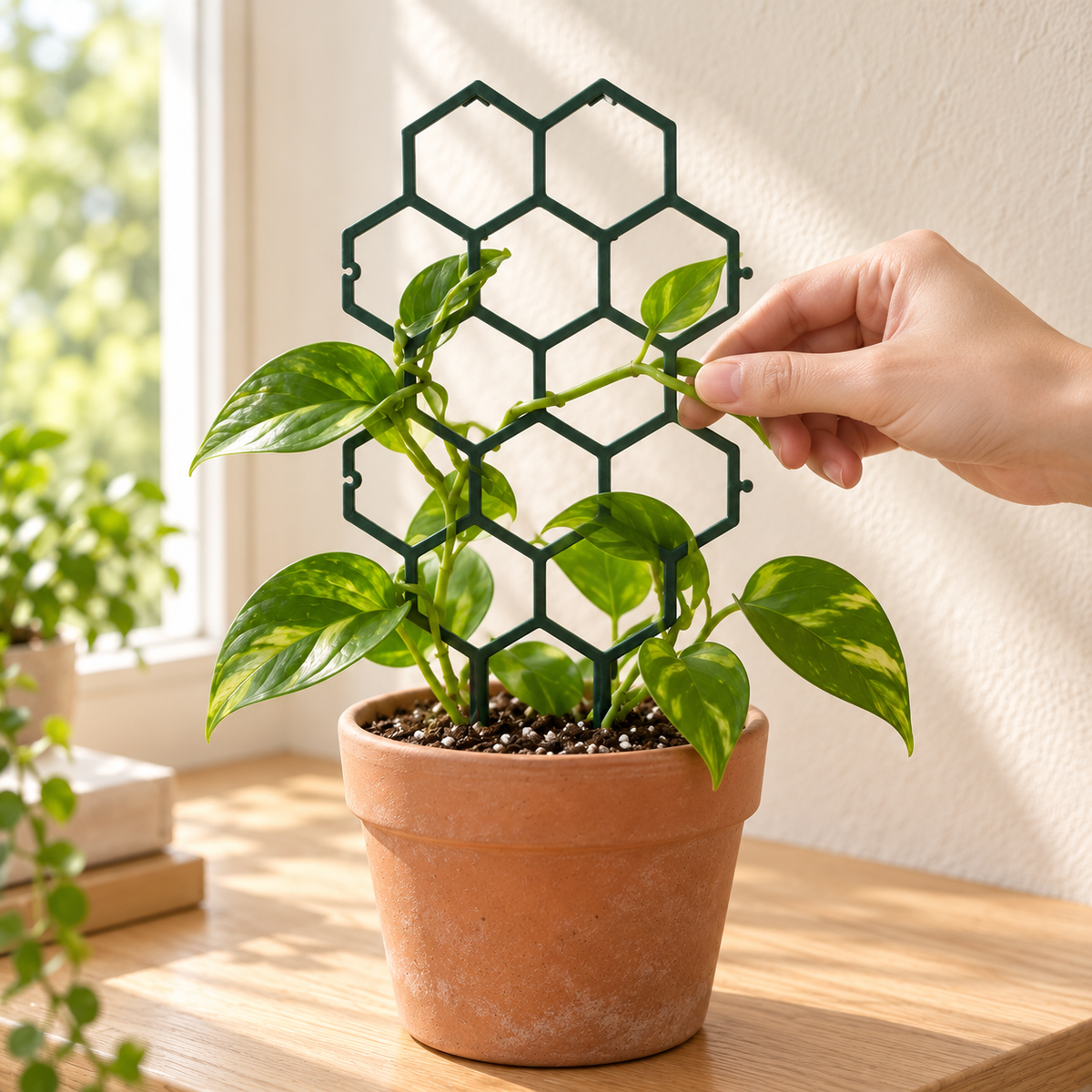 Honeycomb Plant Trellis, Set of 4 — in use