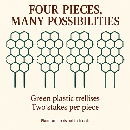 Honeycomb Plant Trellis, Set of 4 — infographic set