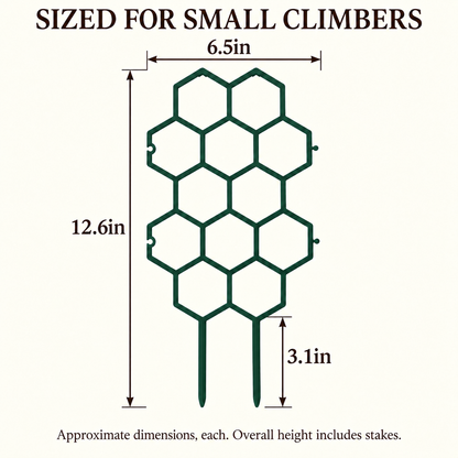 Honeycomb Plant Trellis, Set of 4 — dimensions